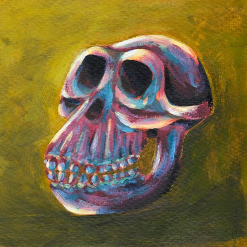 Australopithecus Afarensis Skull Print