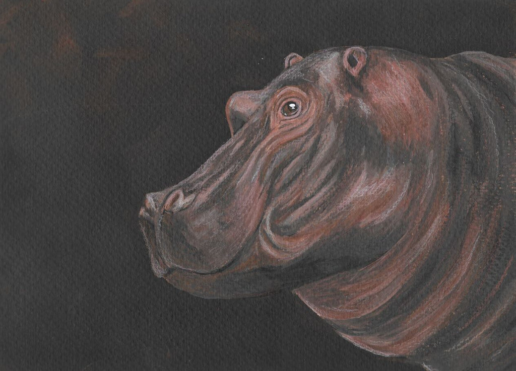 acrylic painting of a hippo portrait