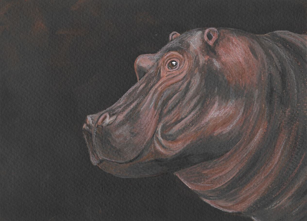 acrylic painting of a hippo portrait