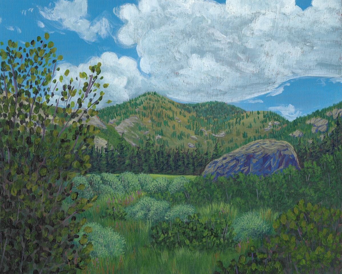 Mountain Valley in Steamboat Springs CO