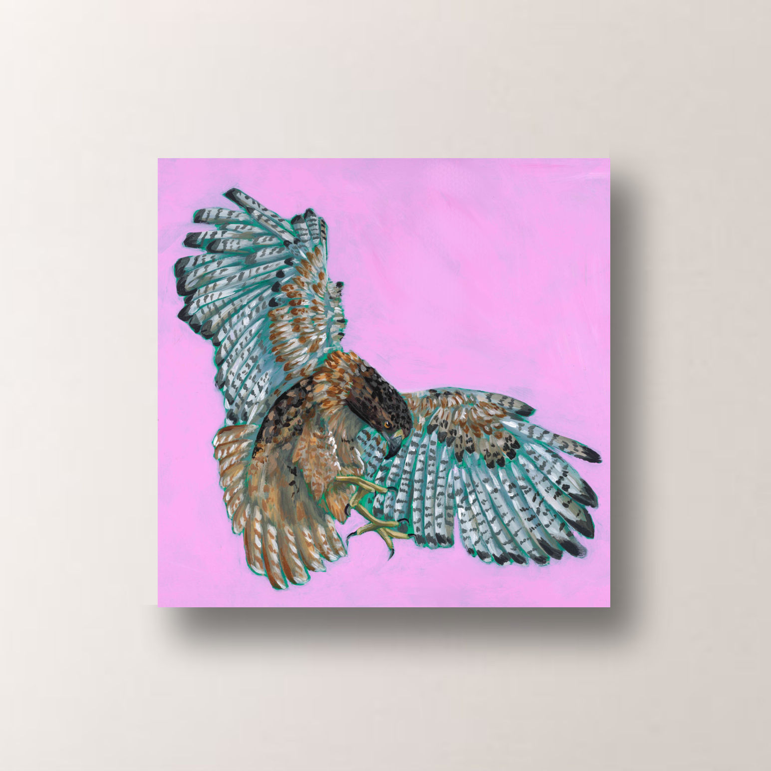 Red-tailed Hawk in Pursuit Print