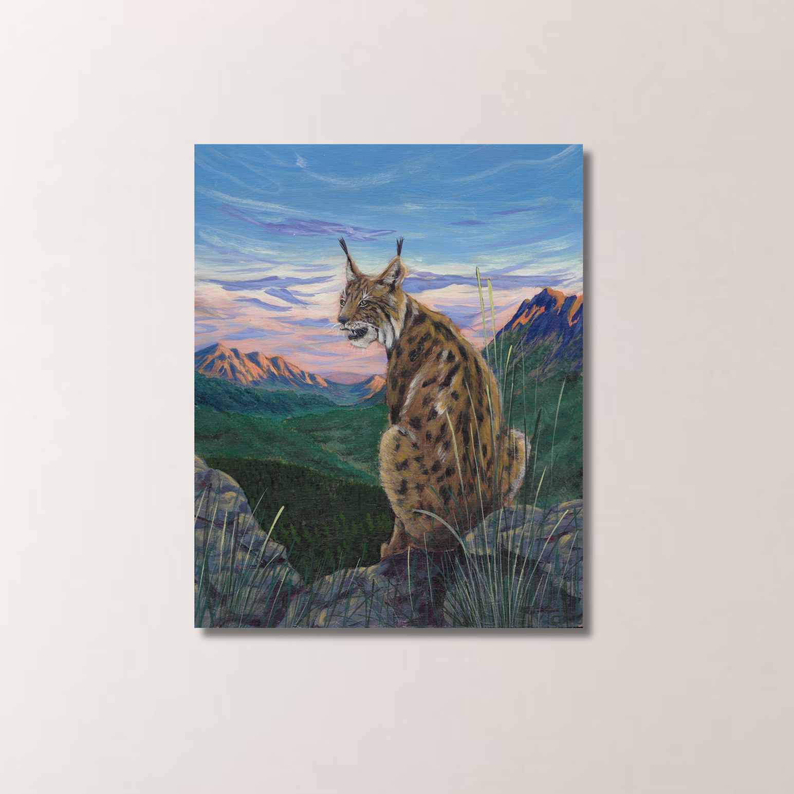 Bobcat Sunset Print