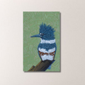 Belted Kingfisher Print