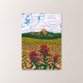 Boulder Flat Irons in Spring Print