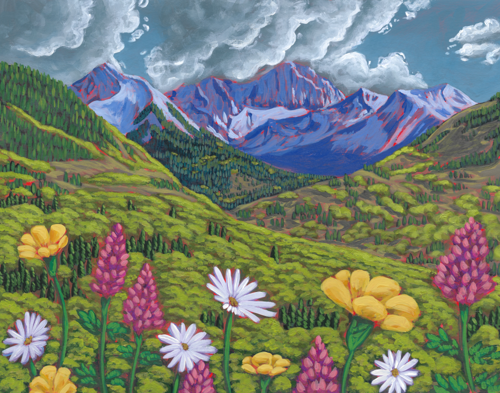 Wildflower Summit Print