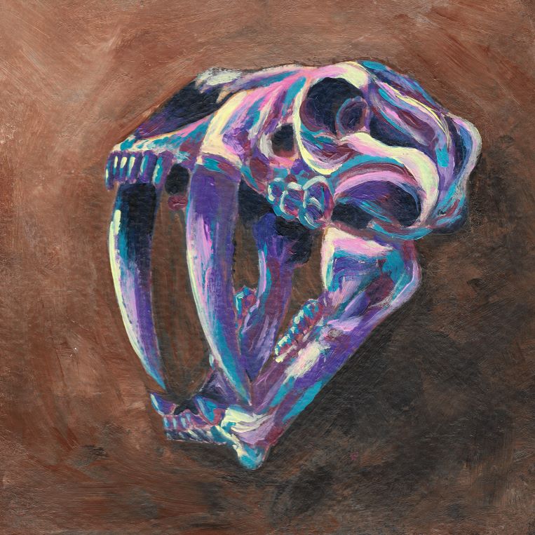 Smilodon Skull Print